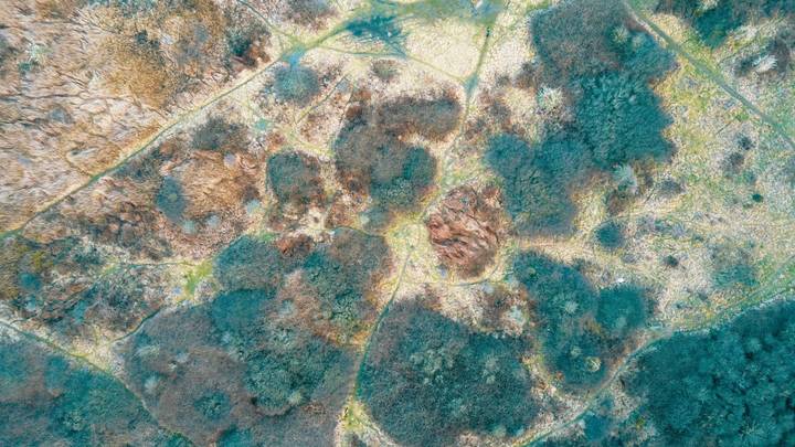 featured image thumbnail for post Sachverständiger: Wer verursacht den Schaden bei Feuchtigkeits und Schimmelpilzschäden?